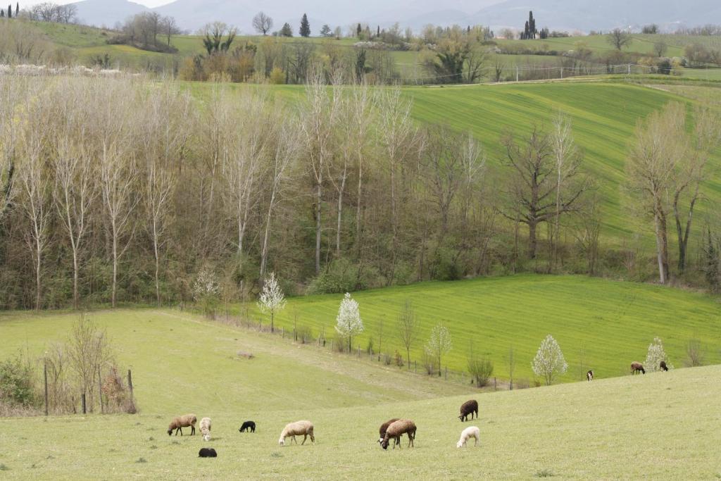 Agriturismo La Colombaia Villa Vicchio Exterior foto